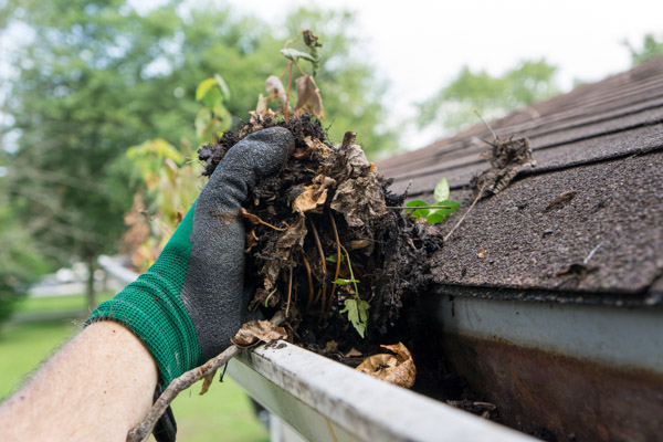 Cleaning eavestrough